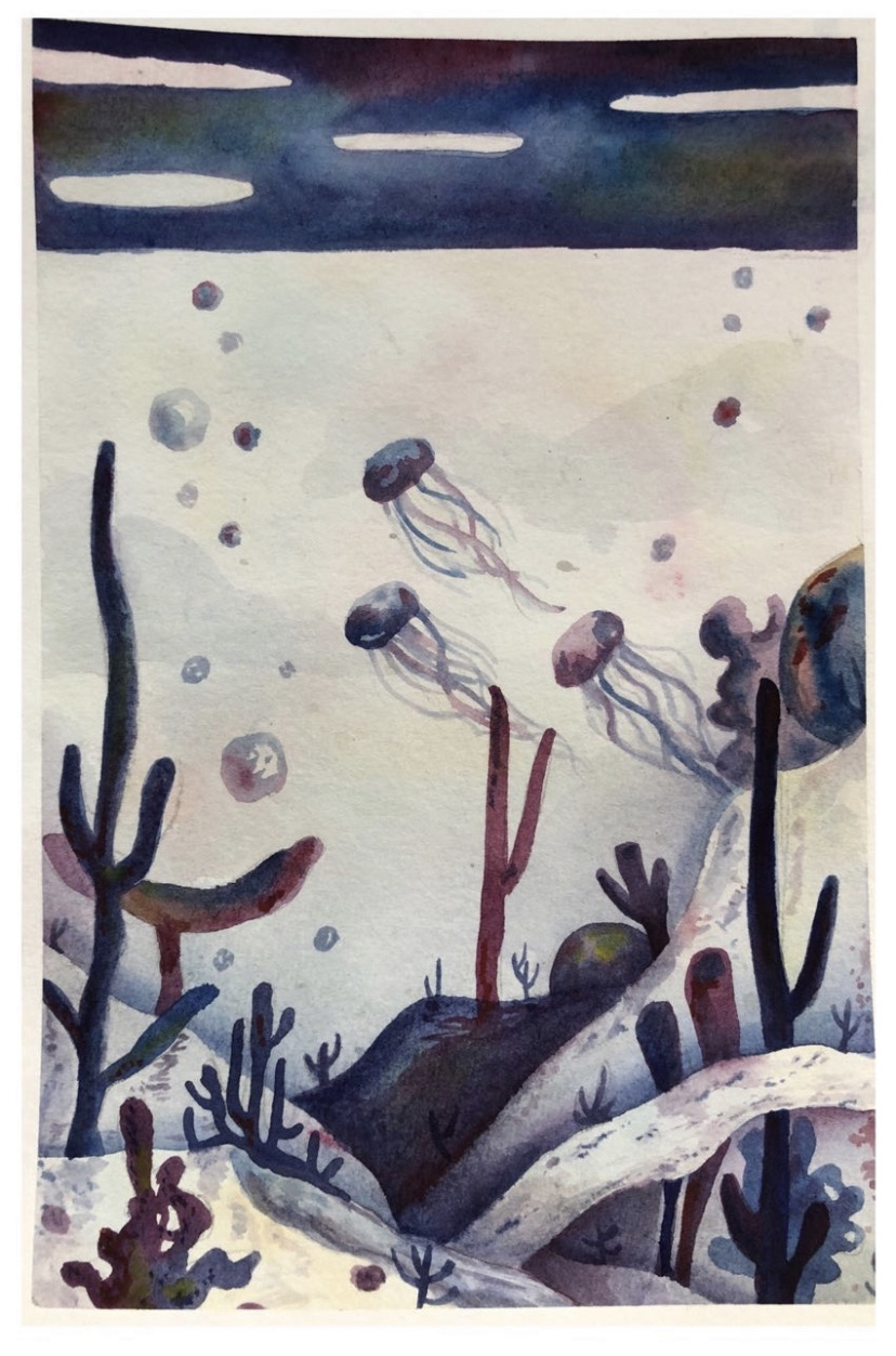 Jellyfish drawing